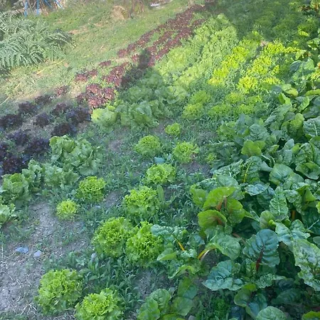 Agriturismo A Ca Du Cappellan